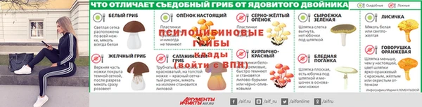шишки Иннополис