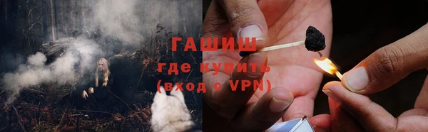 шишки Иннополис