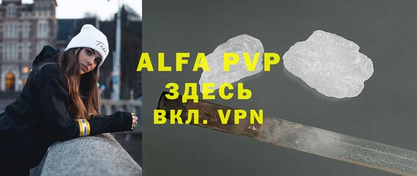 шишки Иннополис