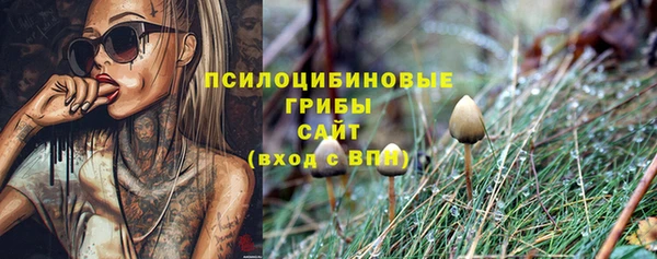 мескалин Инсар