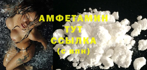 шишки Иннополис
