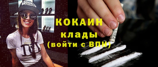 шишки Иннополис