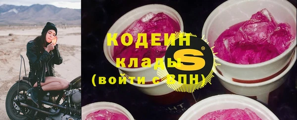 шишки Иннополис