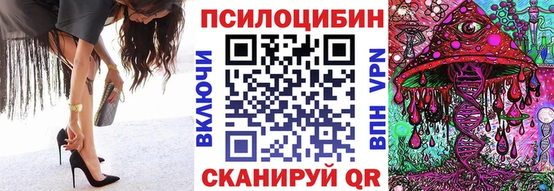 Купить закладки  Лесной  Галлюциногенные грибы Psilocybe 